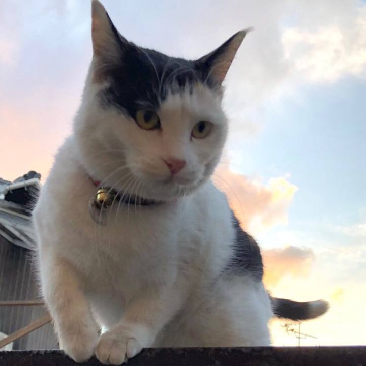 7040c733 4af9 4e93 934d 6f454585a3ad 1645229437019