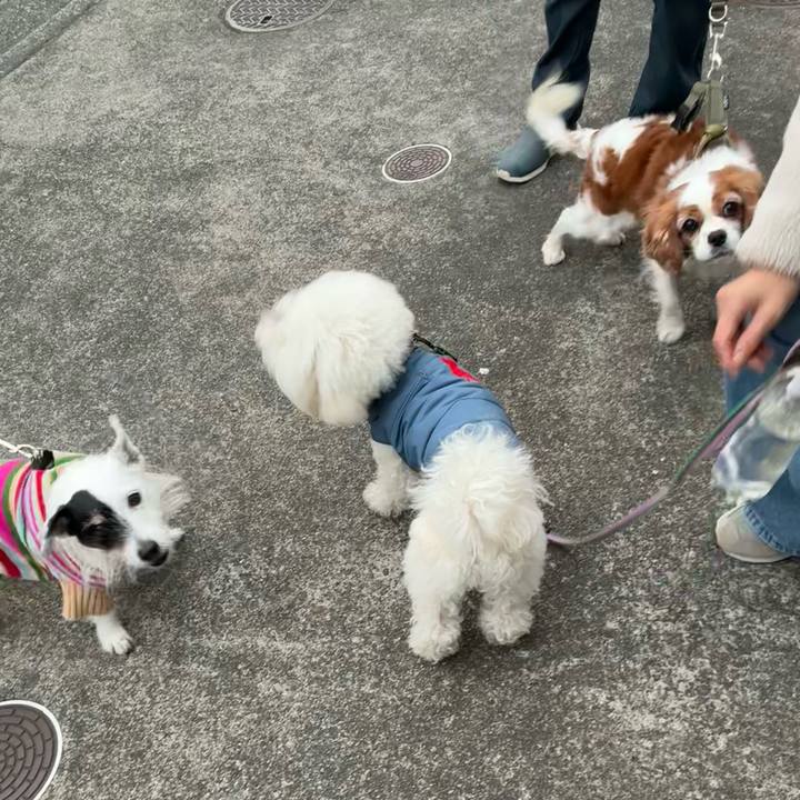 7040c7cc c0bd 4987 acbb a3d1625f893d 1771595166281