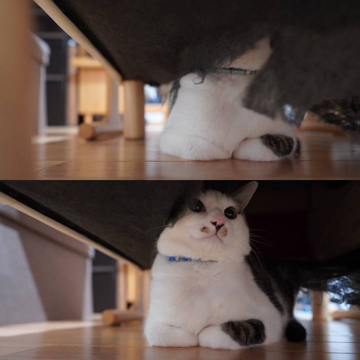 7040ceea 7203 4b0e b9e2 fe1793c4f72d 1594514158786