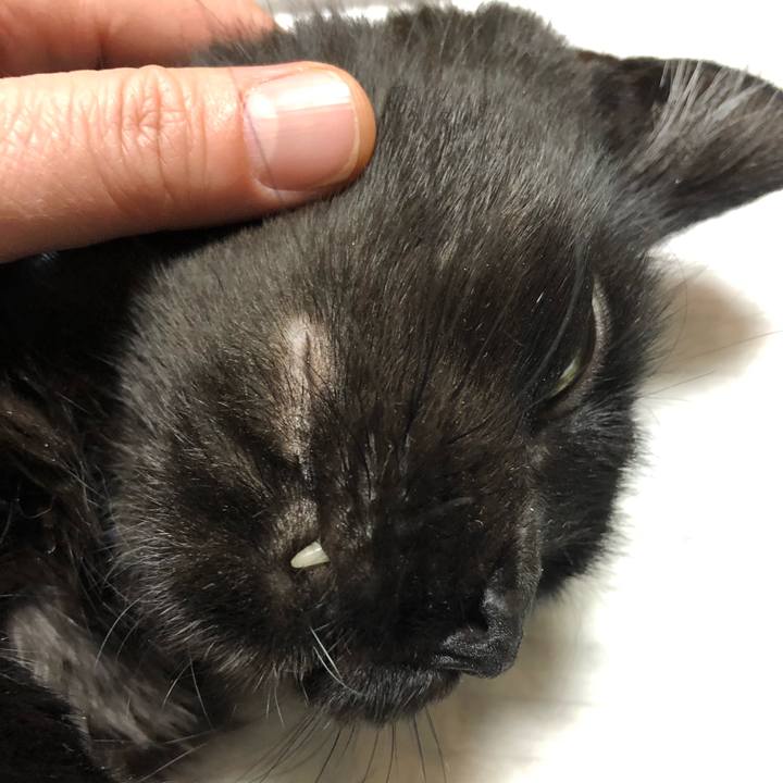 704109ec 8fc6 4312 ae4b 091538d75204 1582202072105