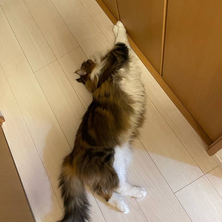 70412c86 9b21 4fe3 b71e e24e9d46f981 1705865766899