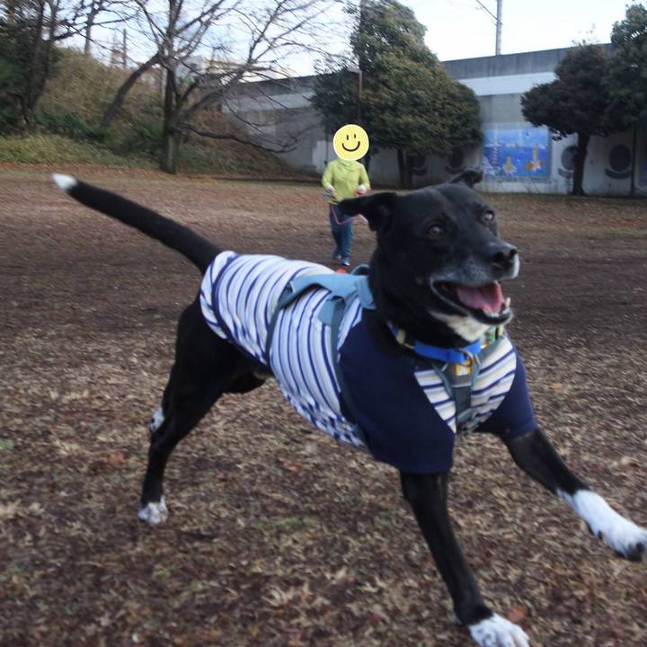 704149da 57bf 4708 a7a6 946807cdc522 1705975544920