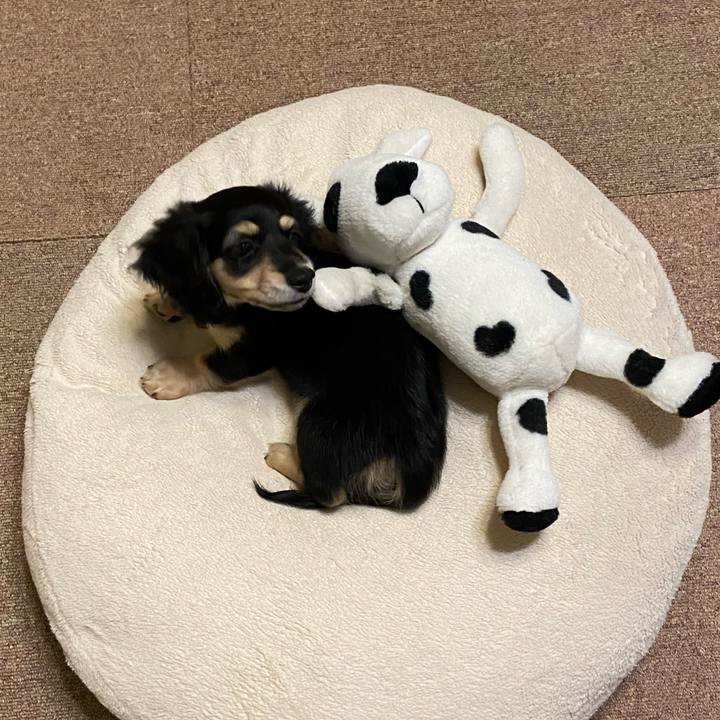 70416161 6733 4c7a 933b 3ddcbc437a71 1664627047730