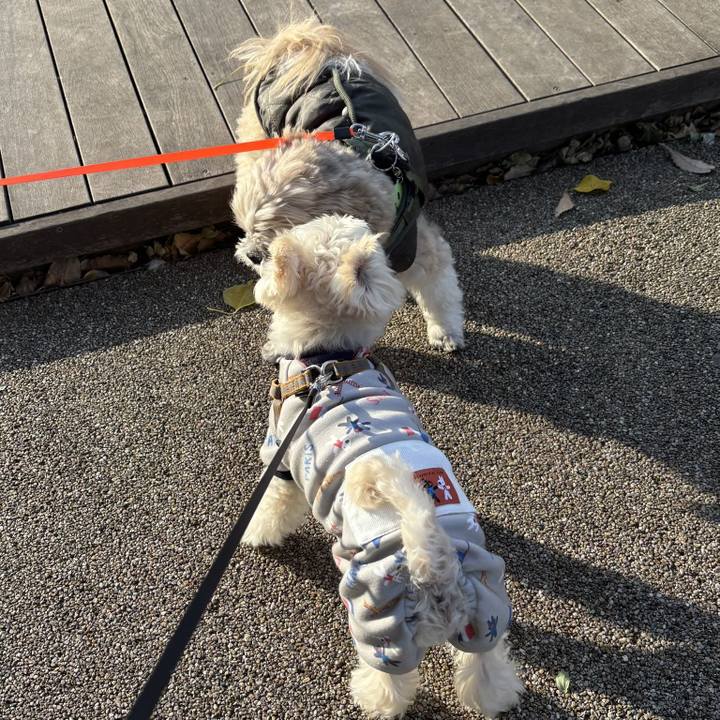 70418a9a 999a 4a07 b8f7 5cf8f98e42e4 1765253728553