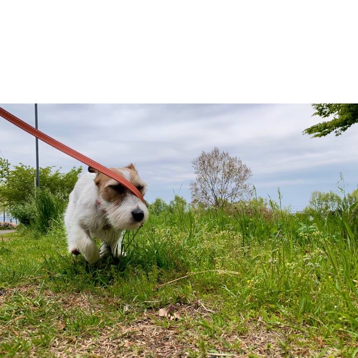 7041b399 5d23 46ed 879b d5dcf55a037b 1587958793878