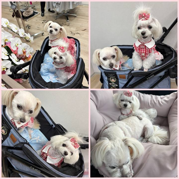 7041e81b aabe 43fb b163 ae90071fbfce 1747990875568