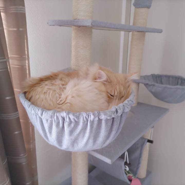 7041f725 79de 4608 8a6a d4d69f9d22a1 1705114477650