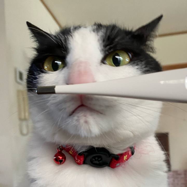 70420047 84e2 4c10 bda0 939f0b1aa2c5 1626531864894