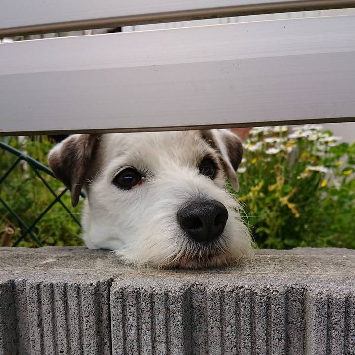 704214bb a362 4257 9127 53034c2c5a29 1557273599603