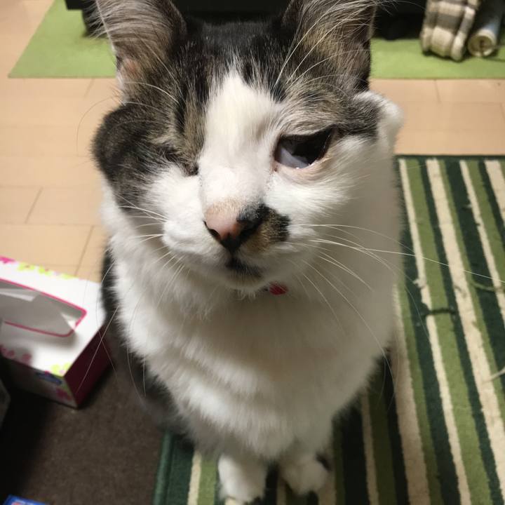 70421abc 8182 4600 ab4b a4a5e51692b1 1549587335524