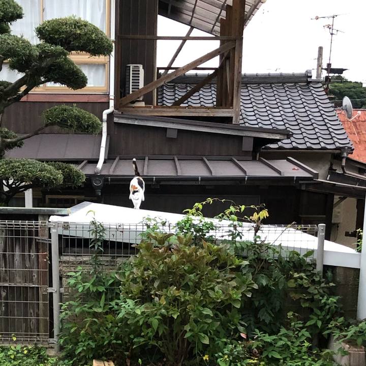 70422ac1 f930 4818 8651 aca06a7cdfd4 1634820204120