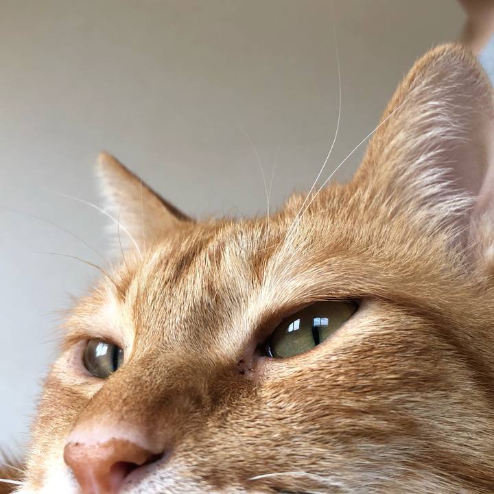 704269ea ac65 42c1 aaf5 70a691992f96 1624063015619