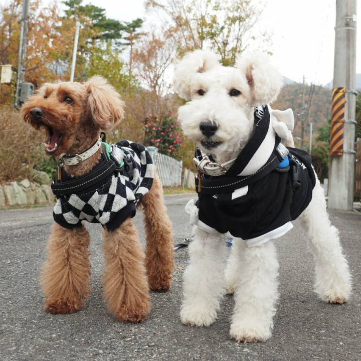 704276b2 ecb7 4e63 afb5 1c3dd21a5f6f 1511477985376