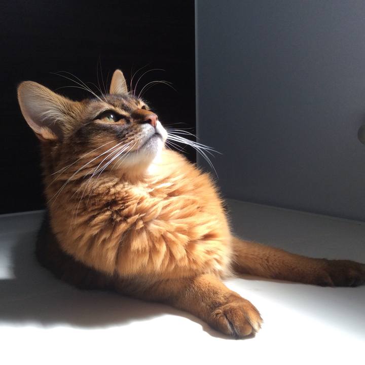 704276c2 2a97 4e04 b71c 6c119ff569af 1616745977272