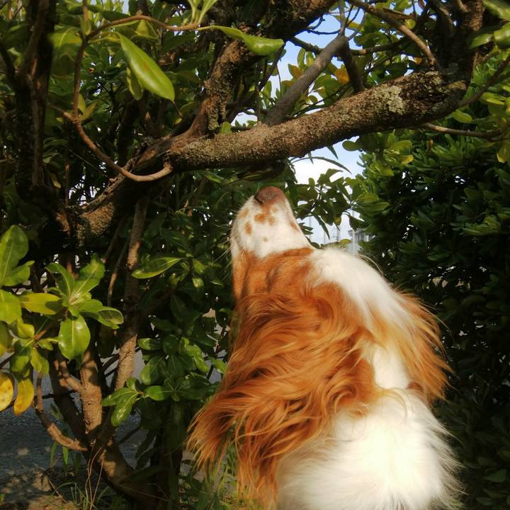 7042c9a2 7ac0 4453 8e6f f8aea91cabb8 1532307042631