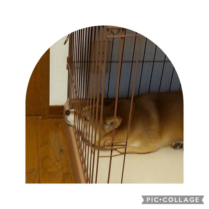 7042d1de efc9 427f a721 cc745158db2d 1725678190034