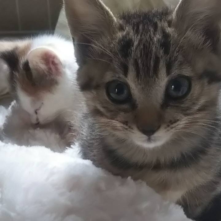 7042d6cc e42c 49e4 9b8e 75d0615c98a9 1634596096761