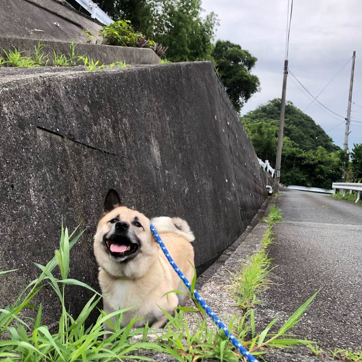 7042d810 36ea 4df3 8b76 06c38498d07f 1624708426455