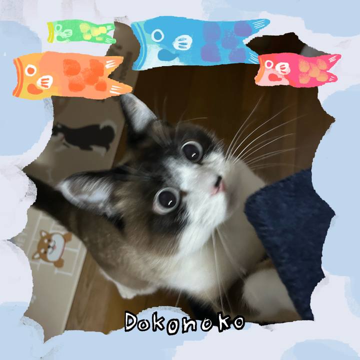 7042e87a d332 4160 84f9 0aeb0fe2d607 1749118343483