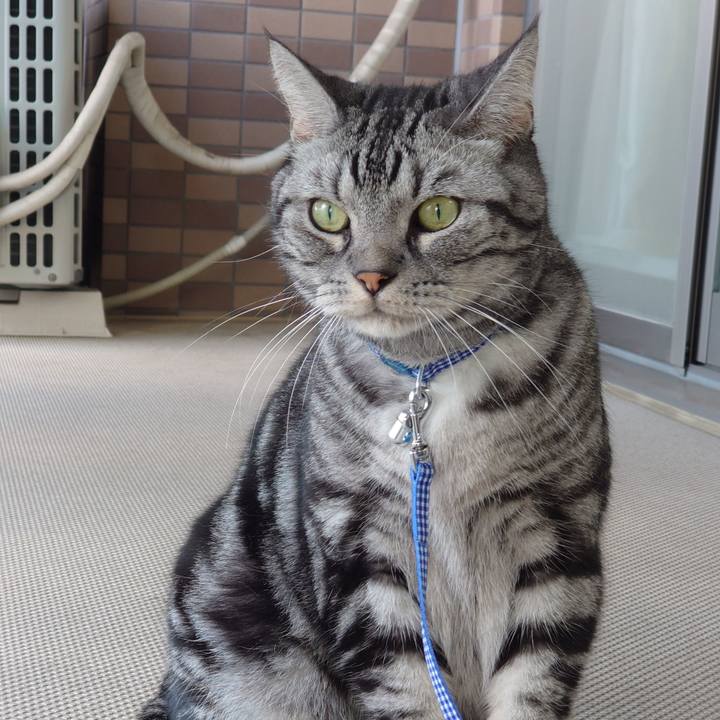 7042ed55 7132 45c8 a717 a0df1efb7ba2 1628035580857