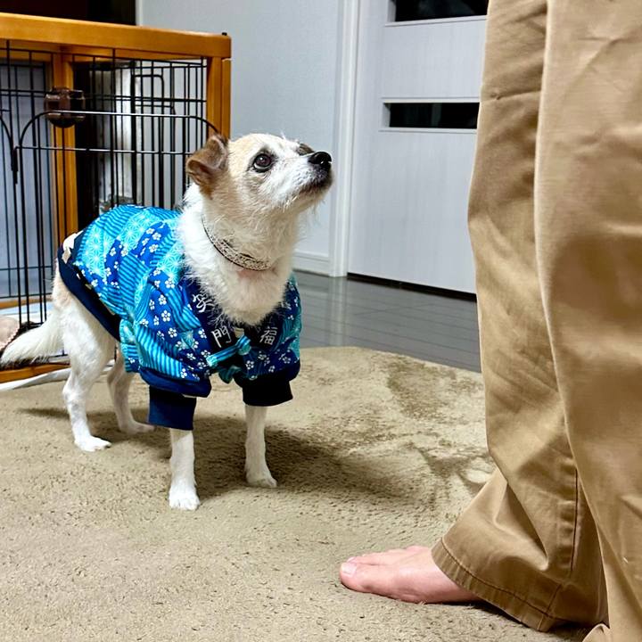 70431b21 d5a8 4dd0 9f45 f91d7c14a60d 1709290528401