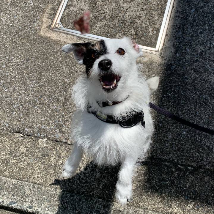 704335e6 b4c6 42a4 94ed e77467eeb469 1749258748945