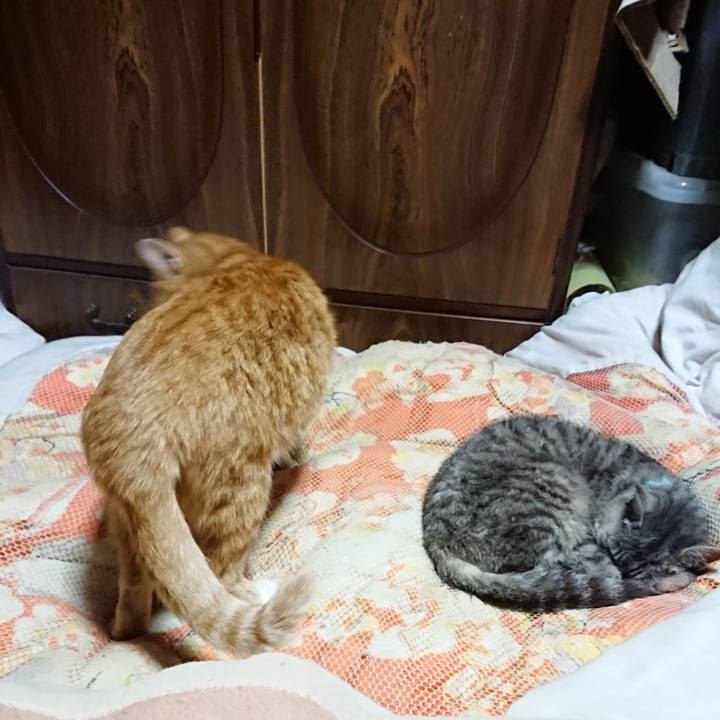 70434577 a9f3 4883 b697 b3d553f5a901 1570281846001