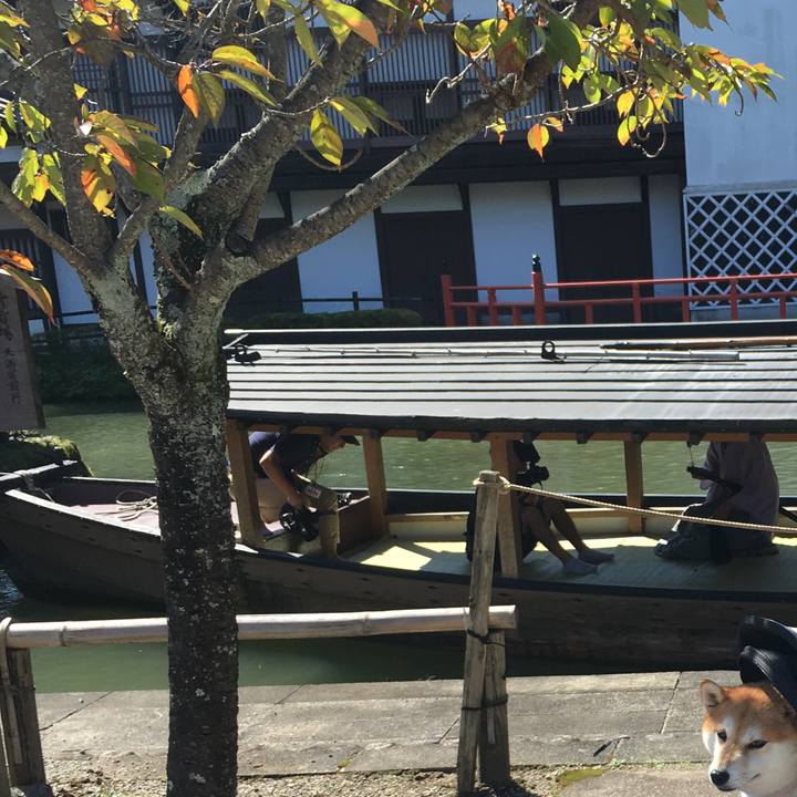 704403cd 7962 4ec5 b272 757186850db5 1570248516863