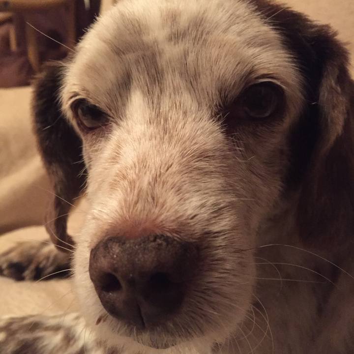 70442adf f797 42f8 bb8d 607fa994c964 1511204991860