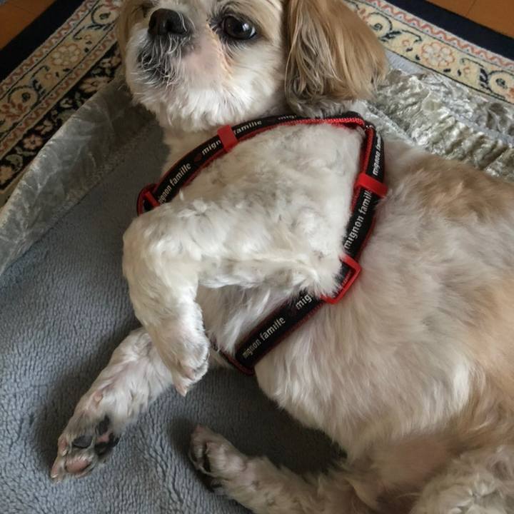 704447d2 79eb 4c8b 8e6d 41720c01cb5e 1558228681672