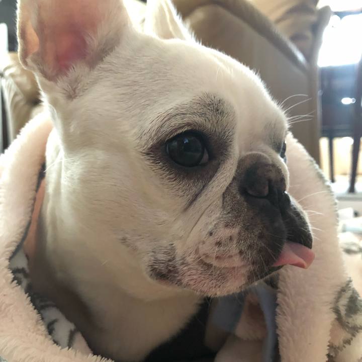 704451a6 86a7 45f4 b206 8b741b0853ba 1563605403927