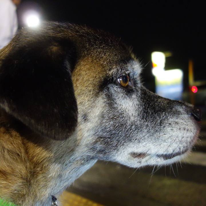 704457c6 5b75 42f6 8b1e 976dfa013644 1647560532937