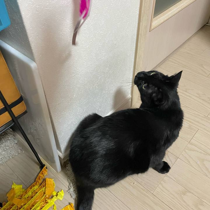 7044c39e 14fb 4460 a0d2 03ad09cc463e 1750763770703