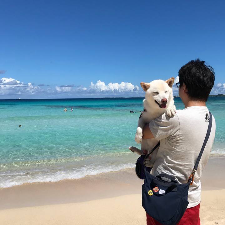 7044d12d 9c71 48b2 9791 11fc45d3e023 1537244023902