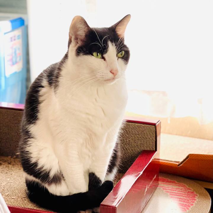 7045077f 4c04 4833 84b1 d913878c0360 1608255234666