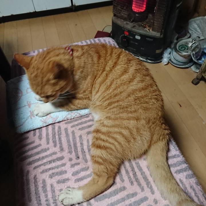 70450d80 2e4d 42a3 b99b 25e8c3d1e554 1602886048516