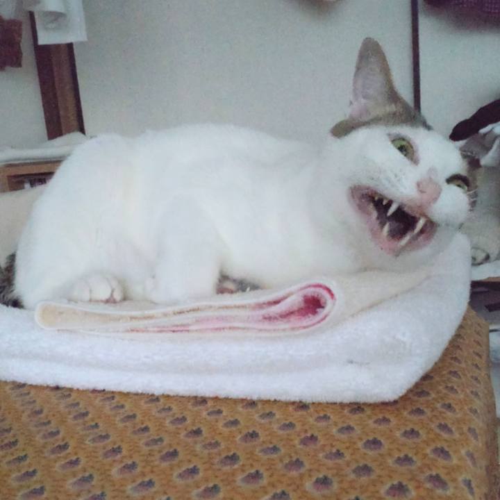 704570b0 5f2d 41d8 abb9 5533a074bc39 1710662430147