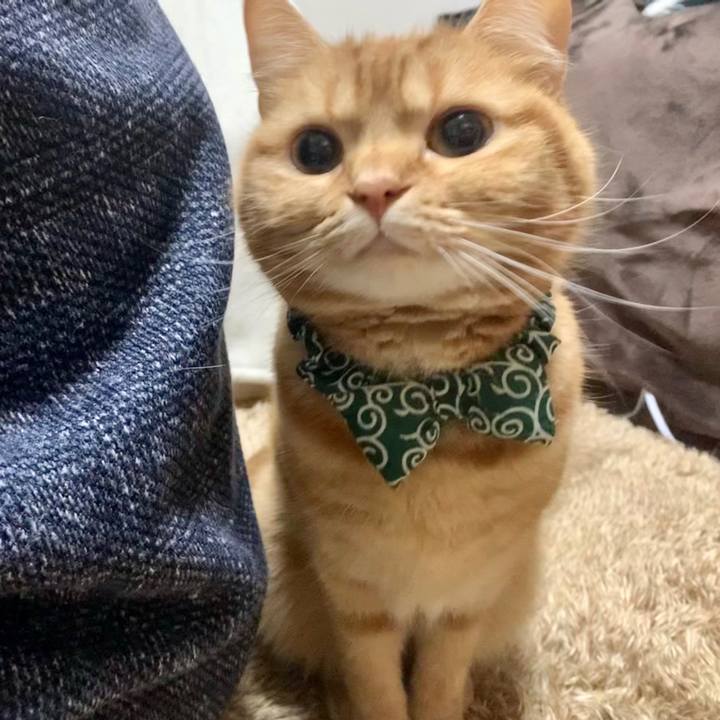 7045772d 7504 41e9 b0ab aa2966880a80 1585914317854