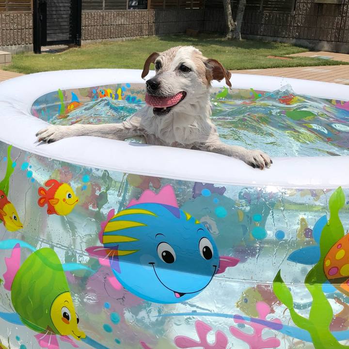 704578e7 01c5 4f96 b887 0a20d217a615 1533364705563