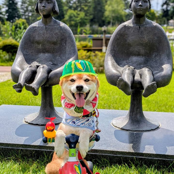 7045b50d 1c44 45a3 860a 0a0685c69f44 1751681318216