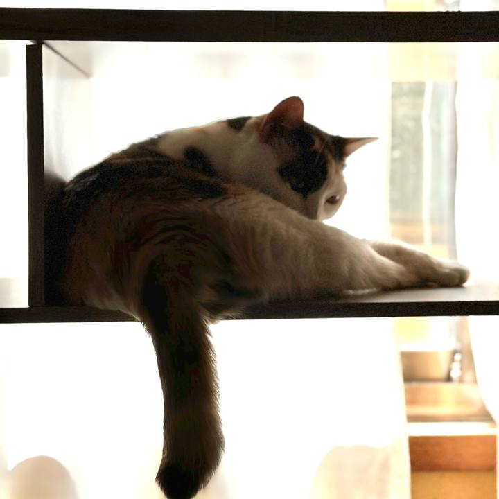 704618e8 0c77 4da9 910e e122d8c9770e 1696210573880