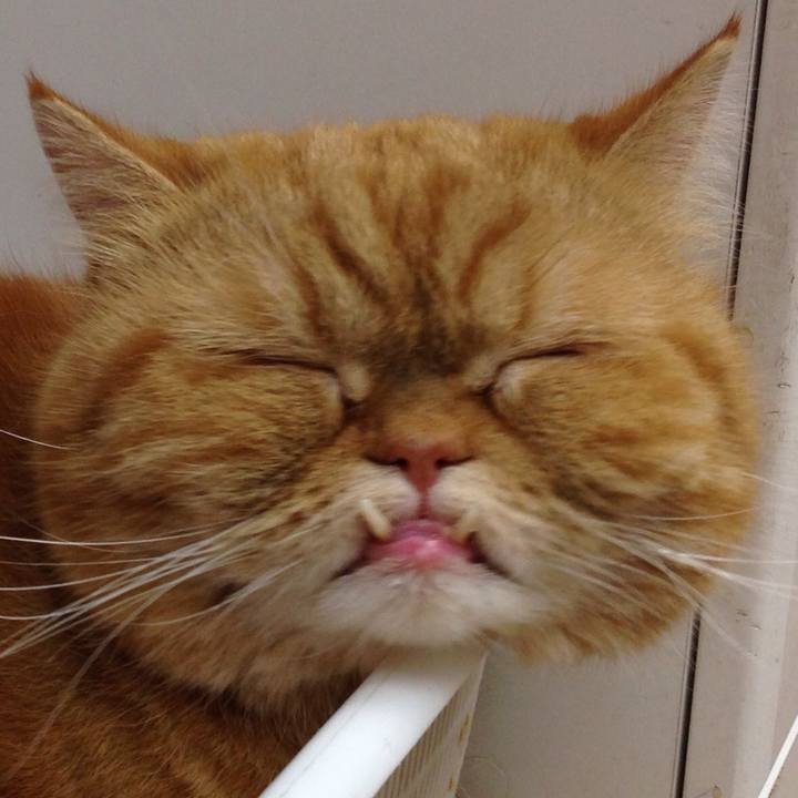 70463c1f 1aa8 43eb a110 51b787f5deea 1517616033252