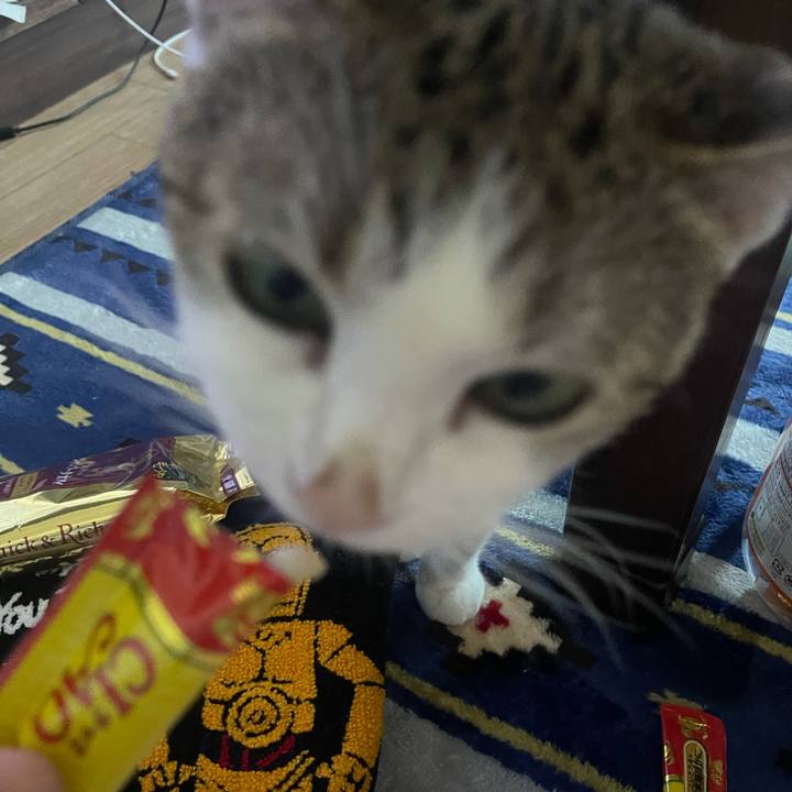 704661c2 2337 43bf 8090 5248264cf85d 1628062243548