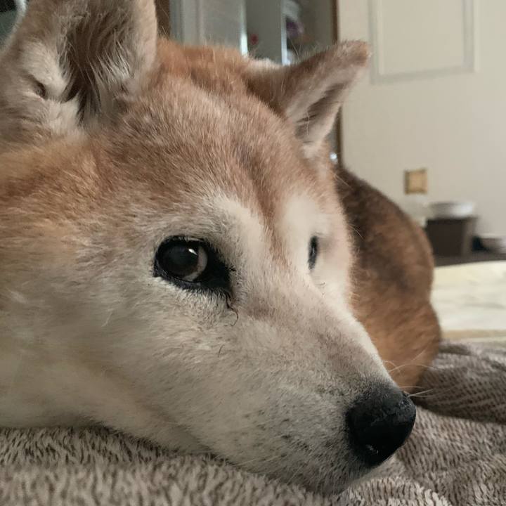 70466ee3 219f 45bf a943 4a7ad4950507 1687618131170