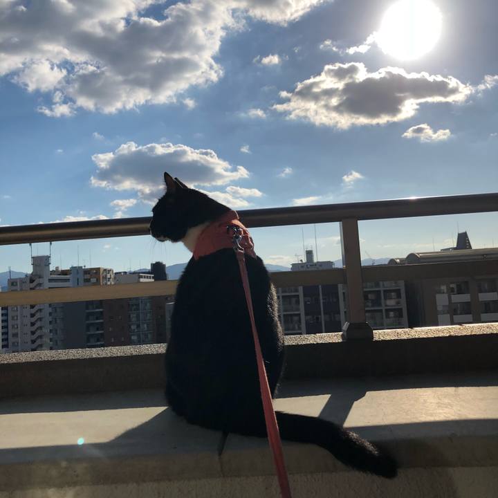 704687fd e727 49ed bbb3 ce2e764b0197 1539729309656