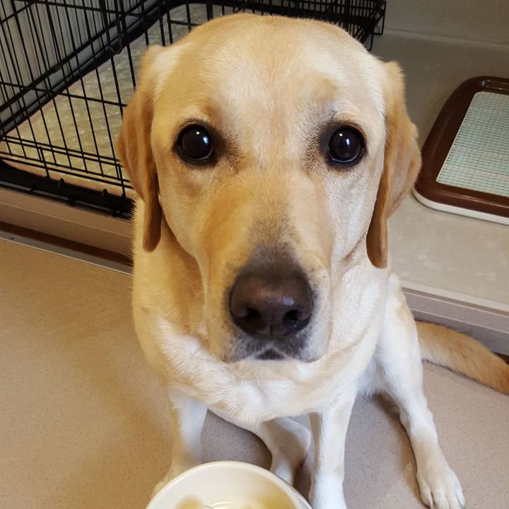 7046bd35 f9cd 493d a66f 842df9c08a37 1514892506923