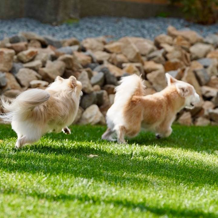 7046fa59 d7c5 40dc acee dcfe79b48d0d 1760873540057