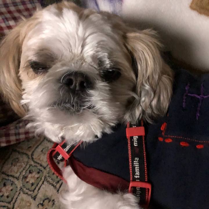 704703ed ae69 4059 8e8f 33574be438d8 1605131767653