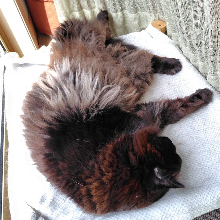 704708b2 31d6 4824 a22b fcf999908771 1716080772095