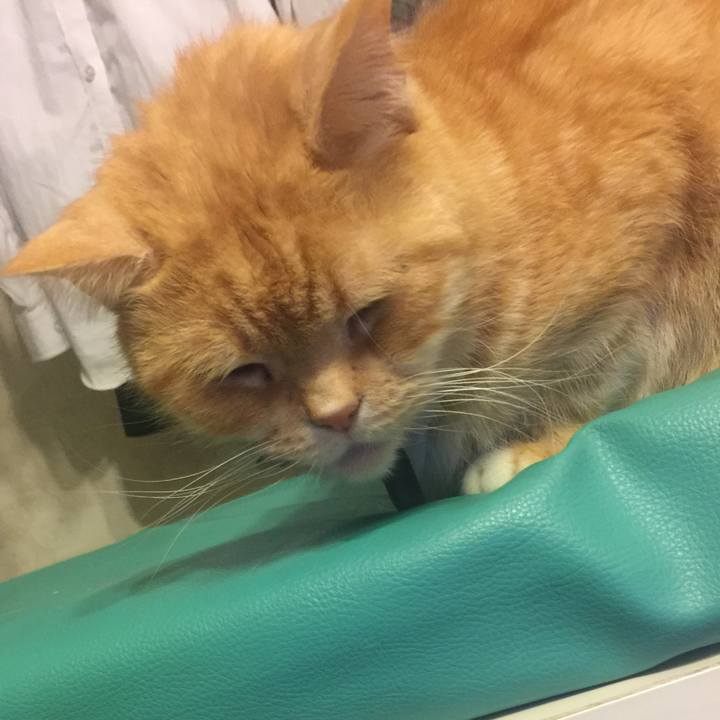 704709f5 0bc5 4c82 9710 d07325d7d1b5 1553873756698